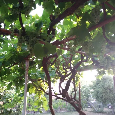 Сasa de vacaciones Casamaria *