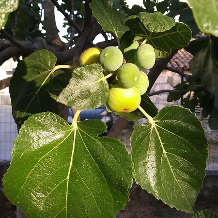 Casamaria Сasa de vacaciones